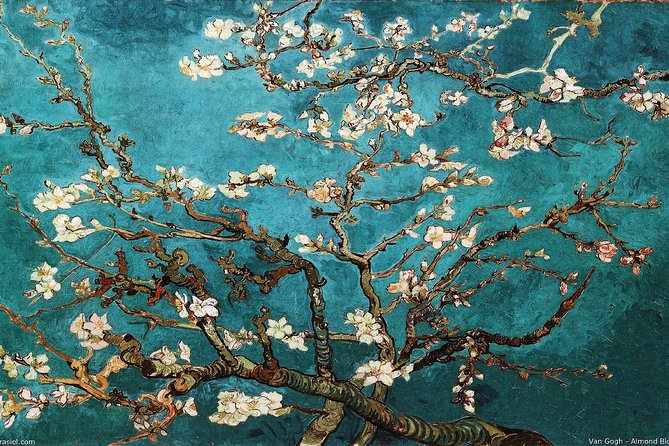Van Gogh Museum Amsterdam Exclusive Tour w/ Reserved Entry - From dark Dutch paintings to French color