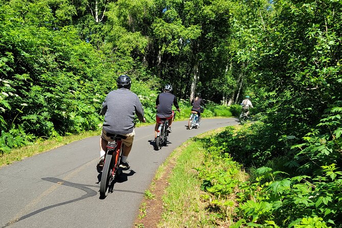 Viator Exclusive: Go eBike Alaska on Tony Knowles Trail - Weather is part of the bargain