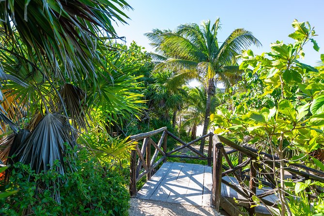 Viator Exclusive: Tulum Ruins, Reef Snorkeling, Cenote and Caves - Swimming in a cave cenote