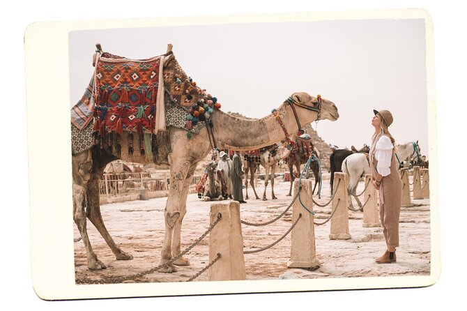 VIP All inclusive Best of Giza Pyramids, Sphinx, Sakkara, Memphis - Saqqara and the Step Pyramid of Djoser