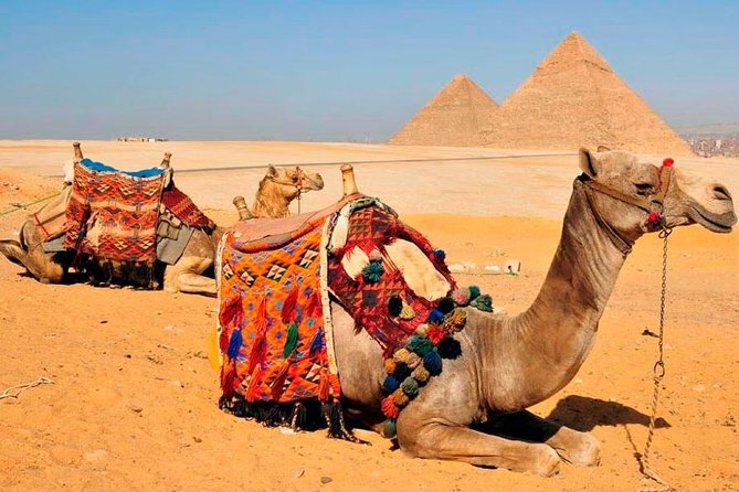 VIP All inclusive Best of Giza Pyramids, Sphinx, Sakkara, Memphis - The Egyptian Museum and Tutankhamun objects