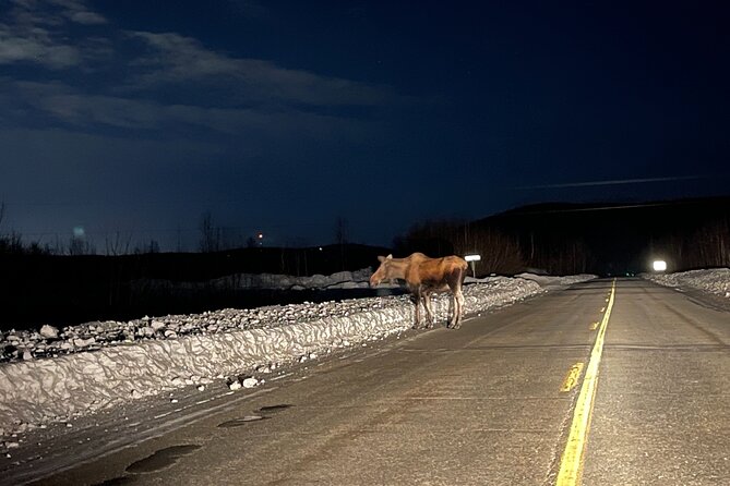 Vip Aurora Adventure from Fairbanks - A private aurora chase from Fairbanks