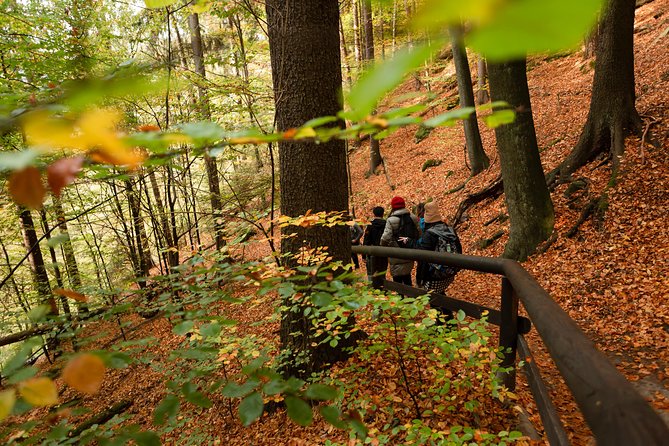 VIP Best Reviews: Bohemian & Saxon Switzerland from Prague - Kamenice River Gorges by boat