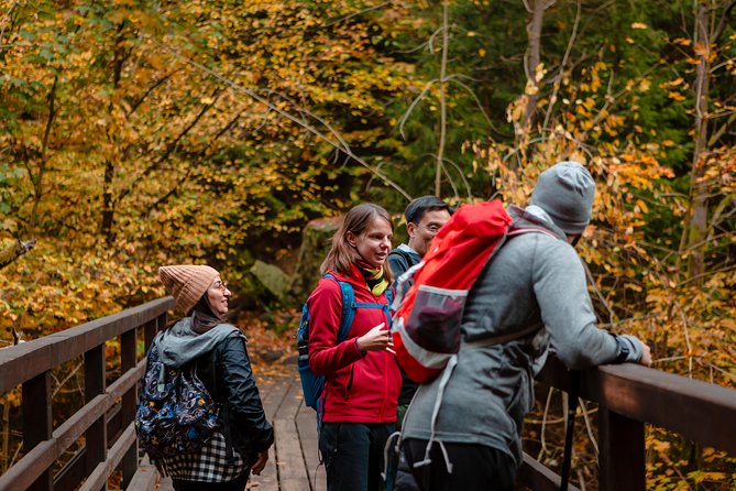 VIP Best Reviews: Bohemian & Saxon Switzerland from Prague - Shared tour or private tour?