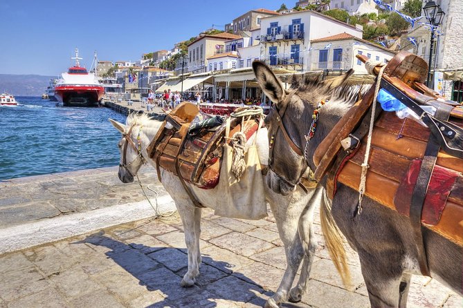 VIP Day Cruise from Athens to Hydra, Poros and Aegina - Life on board matters more than you might expect