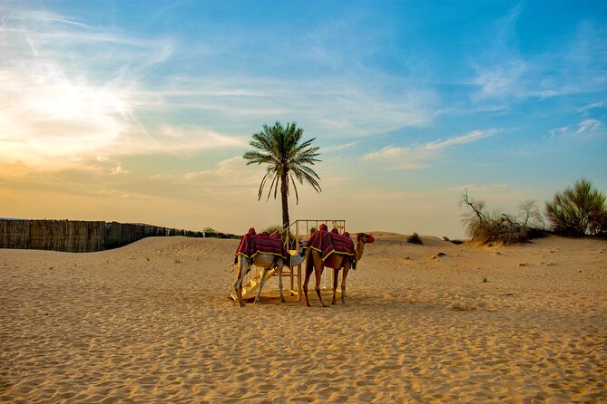VIP Dubai Desert Safari Camel Ride, Sand Ski, Live BBQ Dinner - Sandboarding and the sunset photo stop