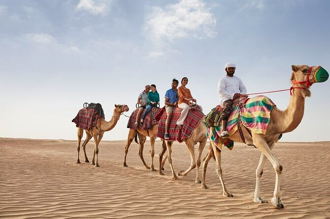 VIP Dubai Sunset Desert Safari: Camel Ride, BBQ, Unlimited Spirit - VIP majlis dinner and unlimited drinks