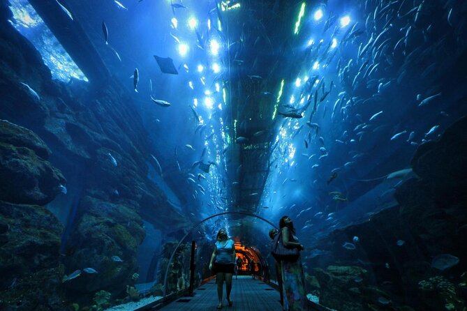 VIP Experience Dubai Aquarium & Underwater Zoo-As per Selection - Key points to know before you go