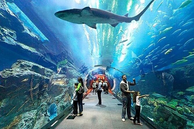 VIP Experience Dubai Aquarium & Underwater Zoo-As per Selection - How long you need and how the visit feels