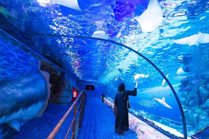 VIP Experience Dubai Aquarium & Underwater Zoo-As per Selection - The Underwater Zoo and King Croc