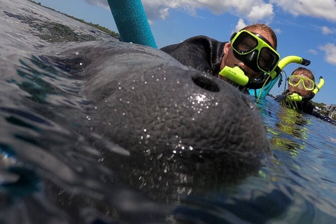 VIP Private Boat Manatee Snorkel Tour with In-Water Guide and Photograper - Why Crystal River manatees make this trip special