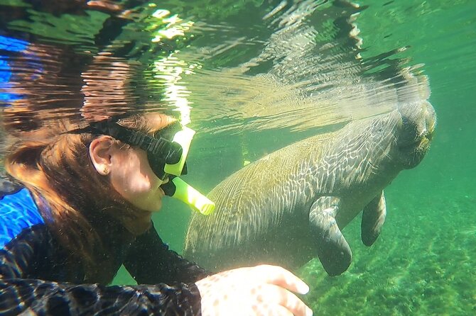 VIP Private Boat Manatee Snorkel Tour with In-Water Guide and Photograper - A three-hour schedule that keeps things focused
