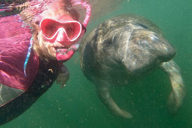 VIP Private Boat Manatee Snorkel Tour with In-Water Guide and Photograper - Wetsuits, snacks, and the heated cabin