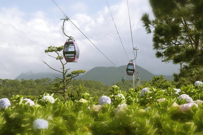 VIP Private Tour in Dalat City and Waterfall - A full day built around Da Lat’s variety