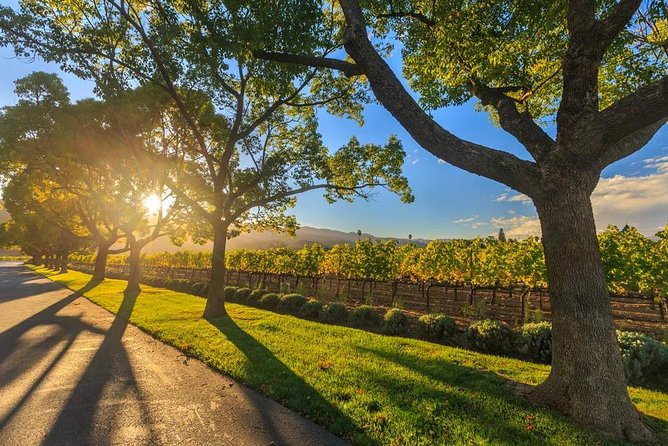 VIP Swan Valley Wine Tour - Premium Small Group Wine & Gourmet Experience - Leaving Perth for the Swan Valley