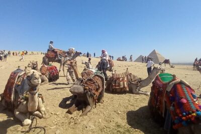 Vip Top Private Tour to Giza Pyramids and Sphinx with camel ride