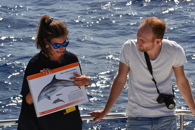 VipDolphins Luxury Whale Watching - A polished small boat leaving Funchal Marina