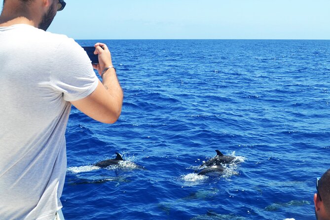 VipDolphins Luxury Whale Watching - Who will enjoy this cruise most