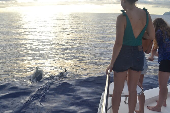 VipDolphins Luxury Whale Watching - Practical details that make the day easier