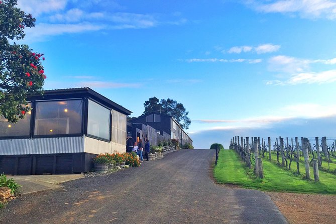 Waiheke Island Premium Wine Tour with Tastings - Why Waiheke makes a good wine day from Auckland