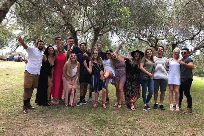 Waiheke Island Premium Wine Tour with Tastings - Who should book this Waiheke tour?