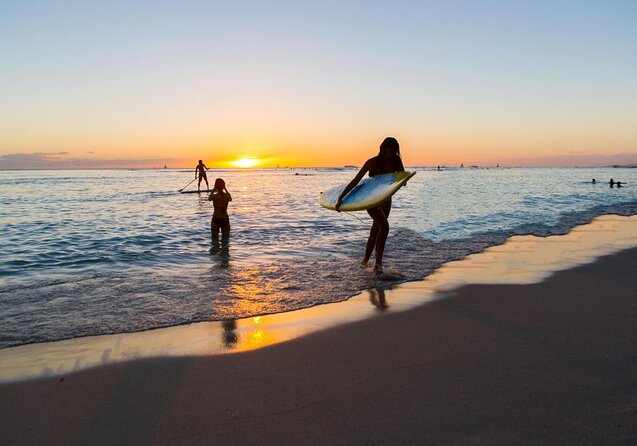 Waikiki, Hawaii: Deluxe Snorkel and Wildlife Cruise - What the snorkeling is really like