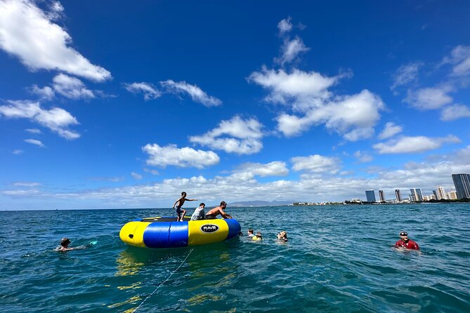 Waikiki, Hawaii: Deluxe Snorkel and Wildlife Cruise - Wildlife watching from the boat