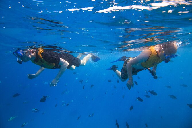 Waikiki, Hawaii: Deluxe Snorkel and Wildlife Cruise - Diamond Head Lighthouse, Waikiki Beach, and Magic Island