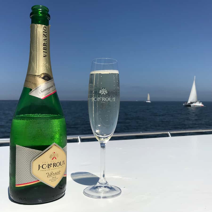 Walvis Bay: Marine Big 5 Luxury Catamaran Tour - Pelicans, gulls and Cape Cormorants add to the show
