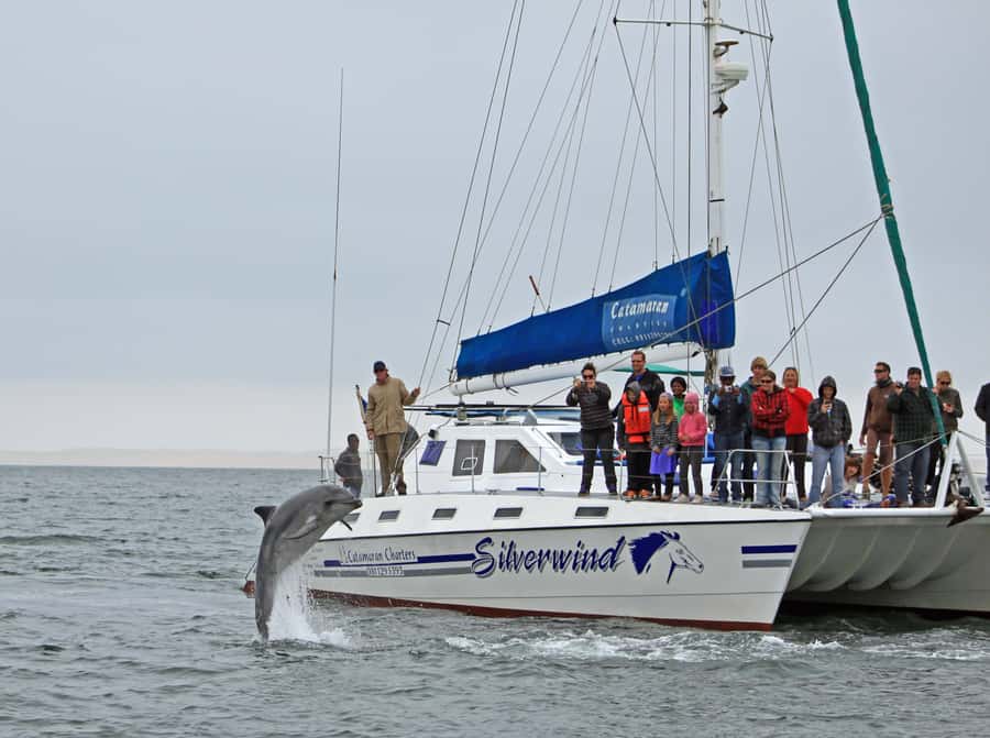 Walvis Bay: Marine Big 5 Luxury Catamaran Tour - Who will get the most from this cruise