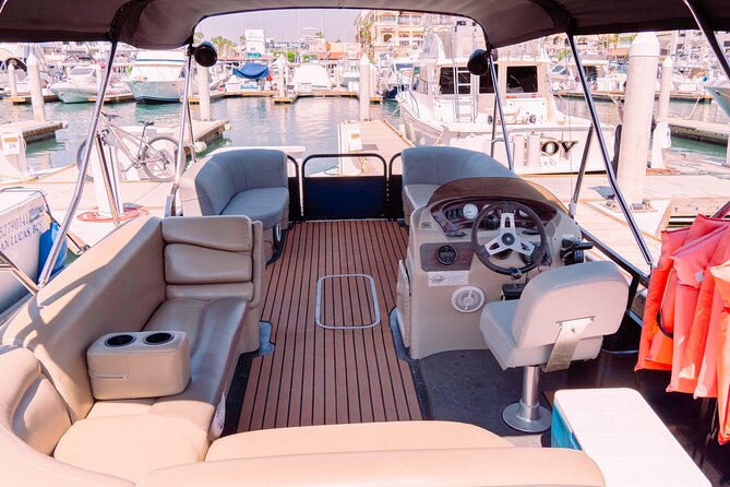 Whale Watching in Cabo San Lucas on board our Luxury Trimaran! - Pickup, dock instructions, and timing