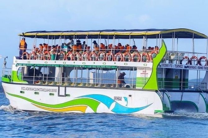 Whales and Dolphins Watching-Luxury Super Grade Cruiser(Hotel Pick up offered) - Key points to know before booking