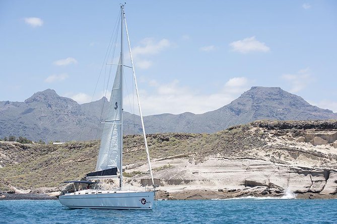 Whales & Dolphins watching in exclusive sailboat - How comfortable is the boat?
