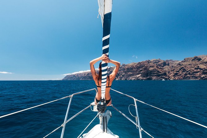 Whales & Dolphins watching in exclusive sailboat - A swim stop and an easy lunch on board