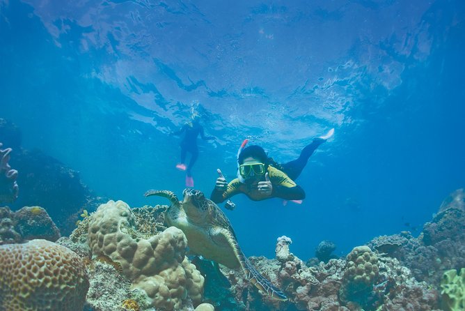 Whitsunday Islands Sail, SUP & Snorkel Tour- Small group - Six hours of yacht time from Coral Sea Marina