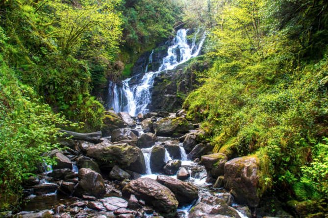 Wicklow Mountains & Glendalough Luxury Private Day Tour - The guides and the feel of the day