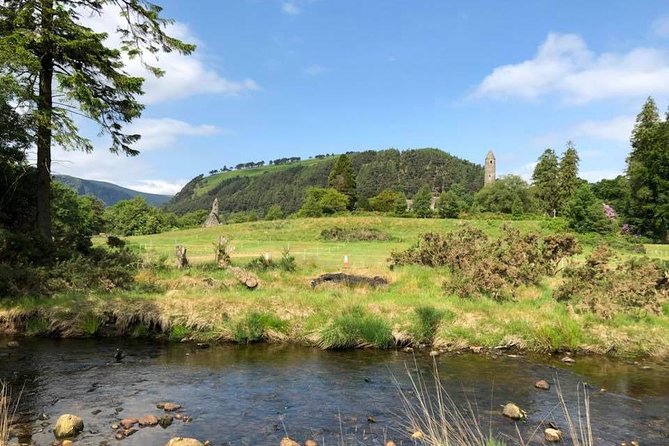 Wicklow Mountains & Glendalough Luxury Private Day Tour - Who should book this Wicklow day?