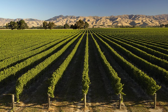 Wine trail and Christchurch City - Luxury, Small Group Tour - Port Hills views over Lyttelton and Canterbury