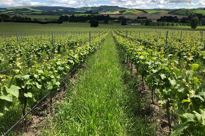 Wine trail and Christchurch City - Luxury, Small Group Tour - She Chocolate and the sweet finish