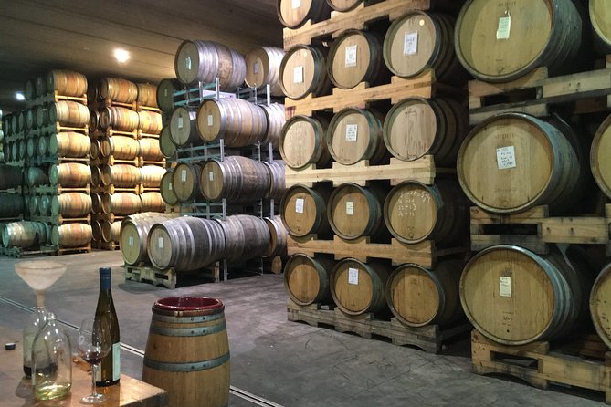 Wine trail and Christchurch City - Luxury, Small Group Tour - Riding in a luxury minivan