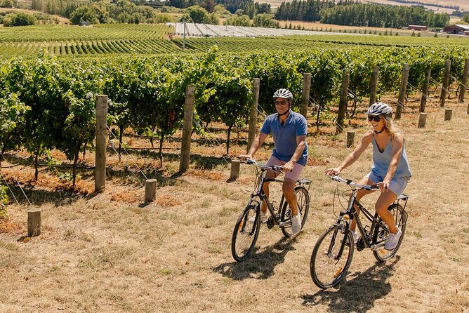 Wine trail and Christchurch City - Luxury, Small Group Tour - Timing, flexibility, and what to expect