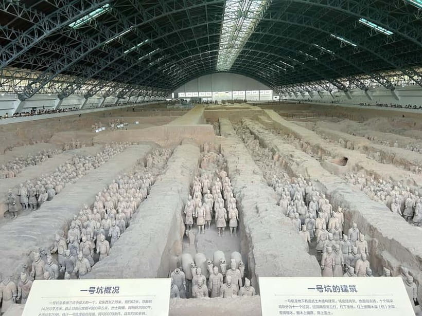 Xi'an: Exclusive Terracotta Army Tour & Local Family Lunch - Three hours among Qin’s silent soldiers