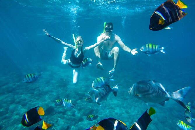 Yelapa Waterfall, BBQ at Exclusive Majahuitas Beach & Open bar - Who will get the most from this $99 day trip