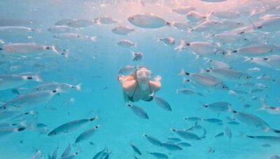 Zadar: Island Luxury Speedboat Tour with Snorkeling
