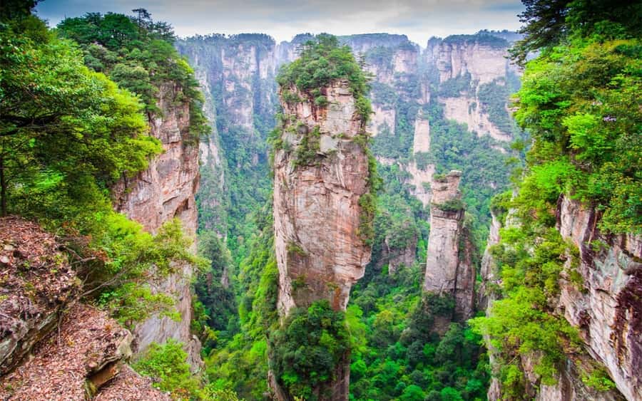 Zhangjiajie: VIP Zhangjiajie National Forest Park Day Tour - Why the VIP entry can change the day