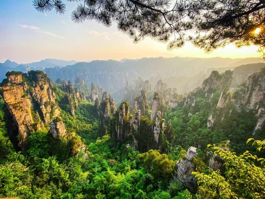 Zhangjiajie: VIP Zhangjiajie National Forest Park Day Tour - No. 1 Bridge under Heaven and Yuanjiajie viewpoints