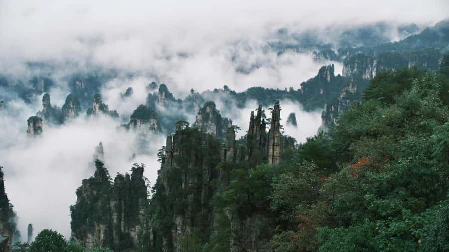 Zhangjiajie: VIP Zhangjiajie National Forest Park Day Tour - Tianzi Mountain and Helong Park