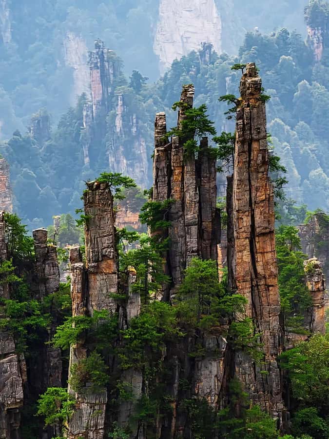 Zhangjiajie: VIP Zhangjiajie National Forest Park Day Tour - What the $199 price really buys